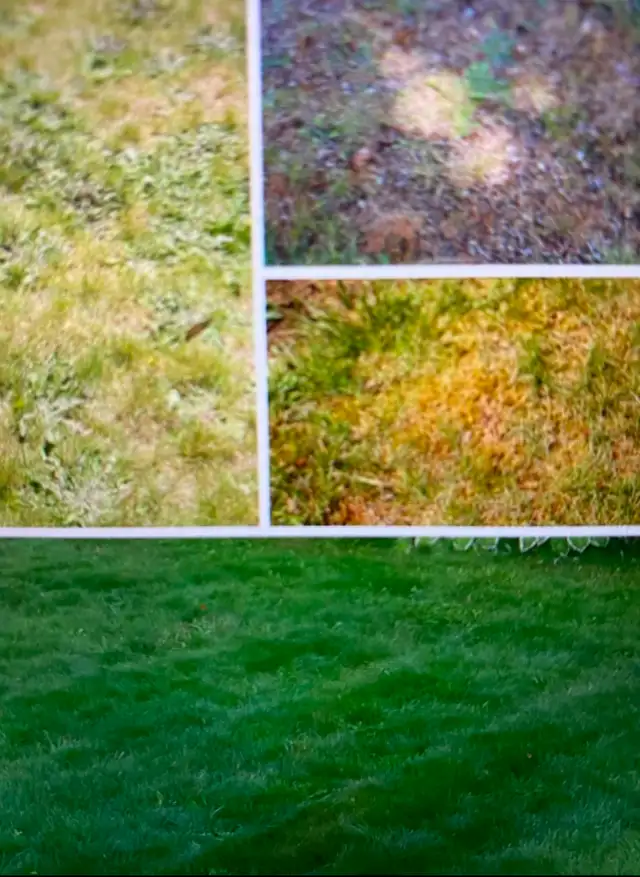 I CAN MAKE IT NEW - Home Flagstone Interlock Concrete Lawn +MORE in Interlock, Paving & Driveways in Markham / York Region - Image 9