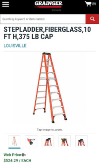 Louisville 10' heavy duty twin ladder