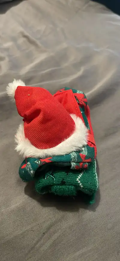 free bearded dragon Xmas outfit , View more