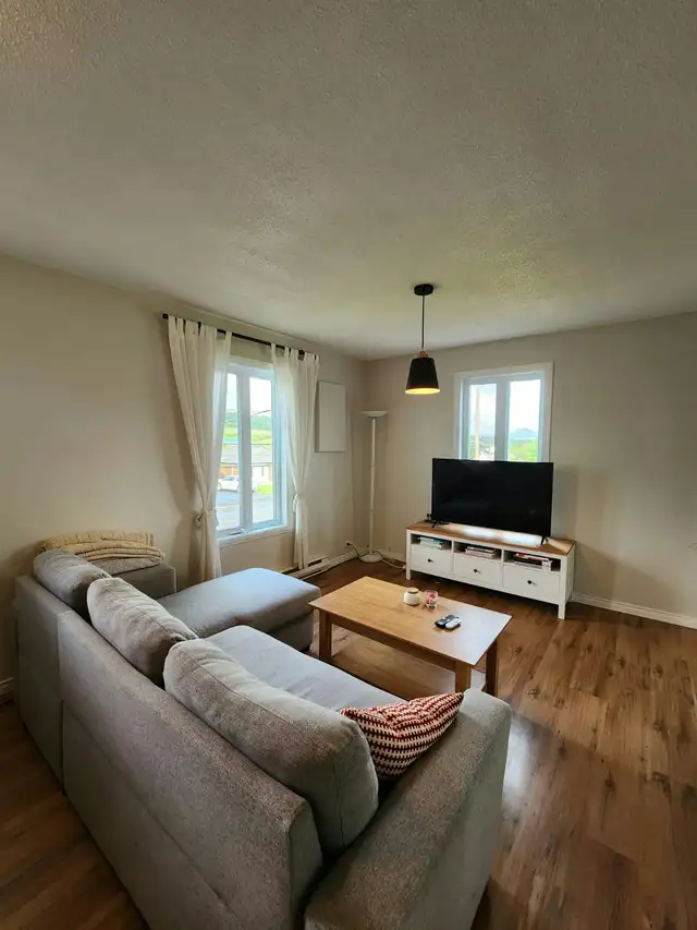 Grand 4 1/2 lumineux in Long Term Rentals in Thetford Mines - Image 2