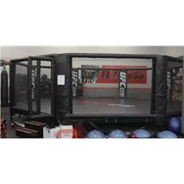 UFC Octagon545697021769830401