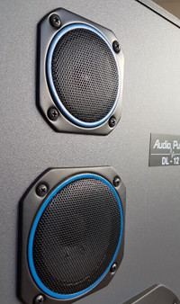 Audio Pulse DL-12 Speakers