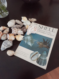 Sea Shells and Book