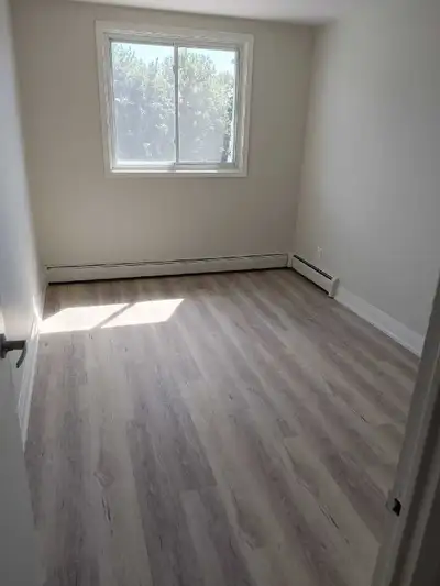 For female room available for rent in (sharing $375 , private $550) plus utilities. King and bishop...
