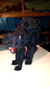 Chat d' Halloween Neuf Halloween Cat New Quality