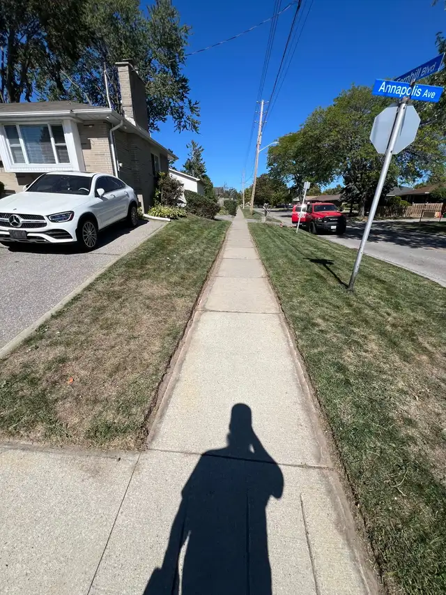 Fall Clean ups64519979472129122