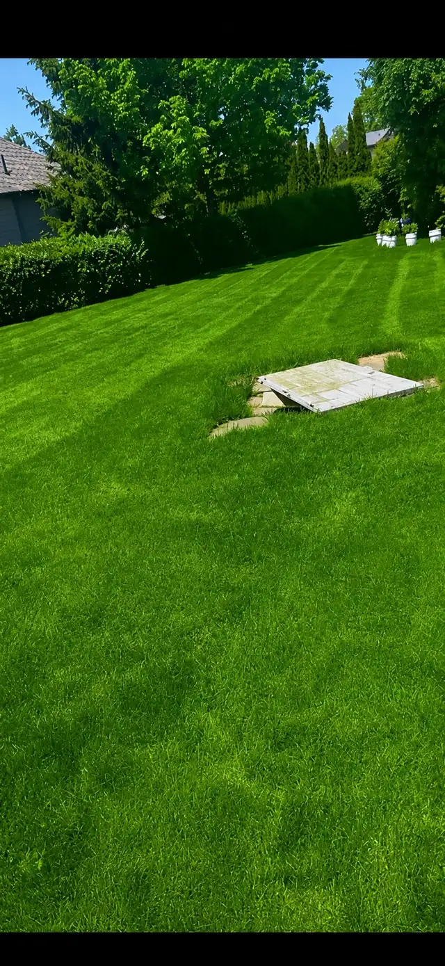 landscape Services,grass cutting in Lawn, Tree Maintenance & Eavestrough in London - Image 9