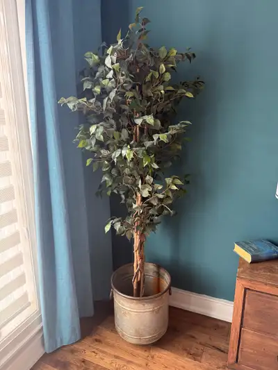 Faux Fig Tree Pot not included , View more
