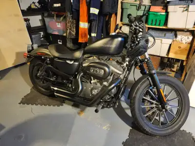 Hi I have a 2010 Harley iron 883 bikes in good shape has two new tires as of last season runs and dr...