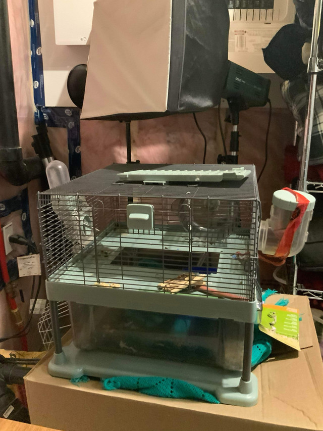 Hamster cage  in Small Animals for Rehoming in Windsor Region - Image 4