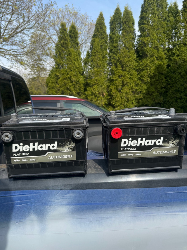 2 diehard platinum truck batteries for sale  in Other in Kitchener / Waterloo