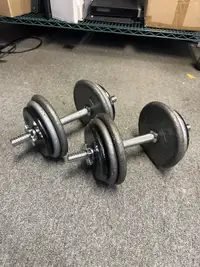 Pair of 50 lb adjustable dumbbell