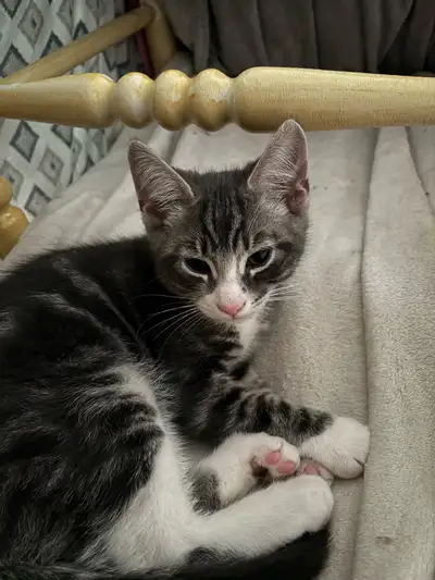 Cute & Curious, View more