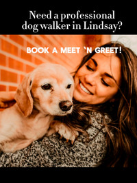 Dog walker in Lindsay