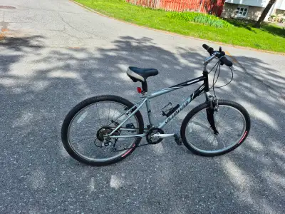 Specialized Cruiser bicycle (16" aluminum frame), View more