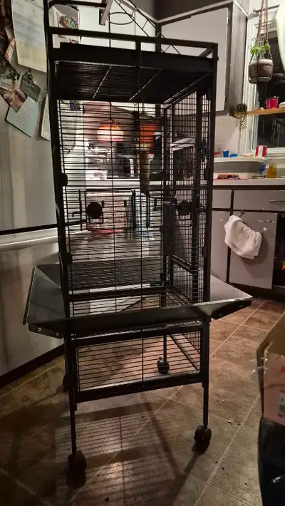 cage perroquets , View more