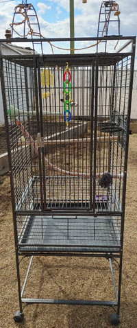 Bird cage for budgies and Cockatiel