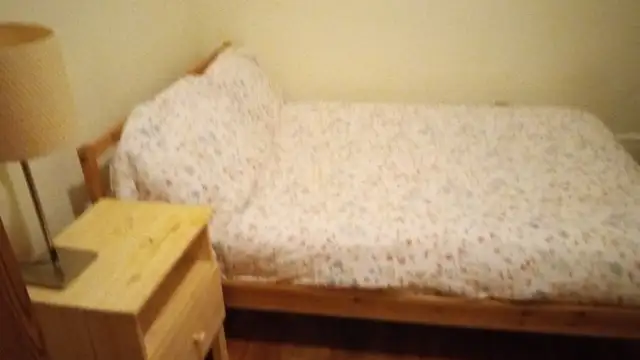 Nicely furnished room downtown available Feb 1  - female only