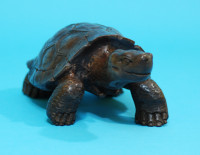 Large Galapagos Tortoise Wood Carving