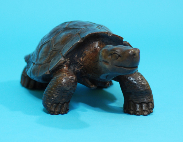 Large Galapagos Tortoise Wood Carving in Arts & Collectibles in City of Toronto