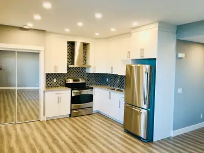 Two bed room walkout basement for Rent at ( CORNERSTONE NE )
