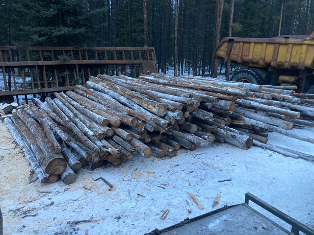 Full Cord Firewood - In Stock  in Other in Whitehorse - Image 3