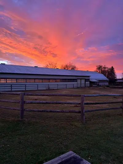 Quiet, friendly private boarding stable located minutes from the 404 near Newmarket has stall board...