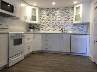 Bright & Beautiful One Bedroom Basement Suite for Rent
