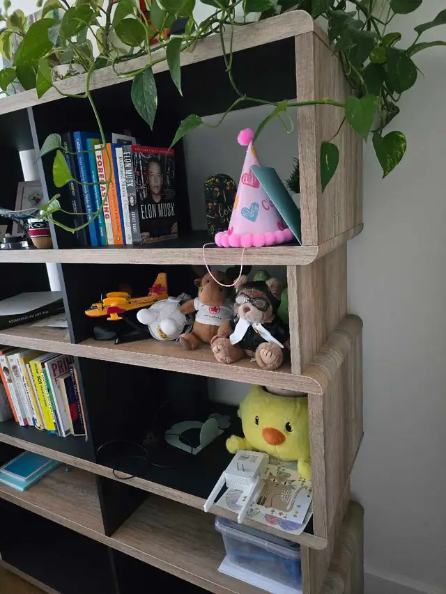 bookcase484083657888901120