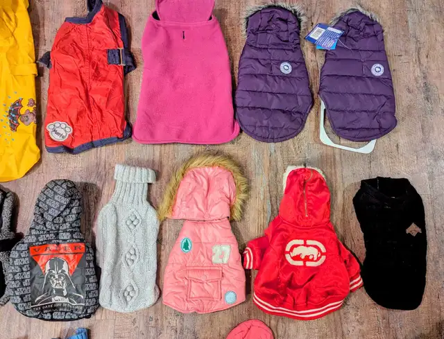 DOG Coats,l & Jackets, safety cone, lg rope toy, water bott in Other in Moncton - Image 6