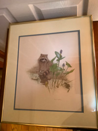 Vtg Wildlife Raccoon & Frog Cdn Artist Martin Glen Loates