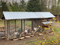 Deluxe, Solid Chicken Coop (Mason, 25+ hens)