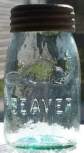 Old Fruit Jars - Beaver, Beehive, Star, and all others