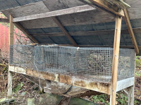 Cages à lapin extérieures et mangeoires 