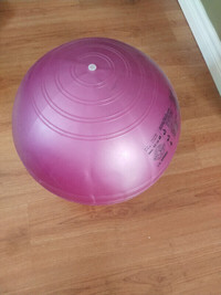 55cm ABS Sissel fitness ball - Sunnyside NW