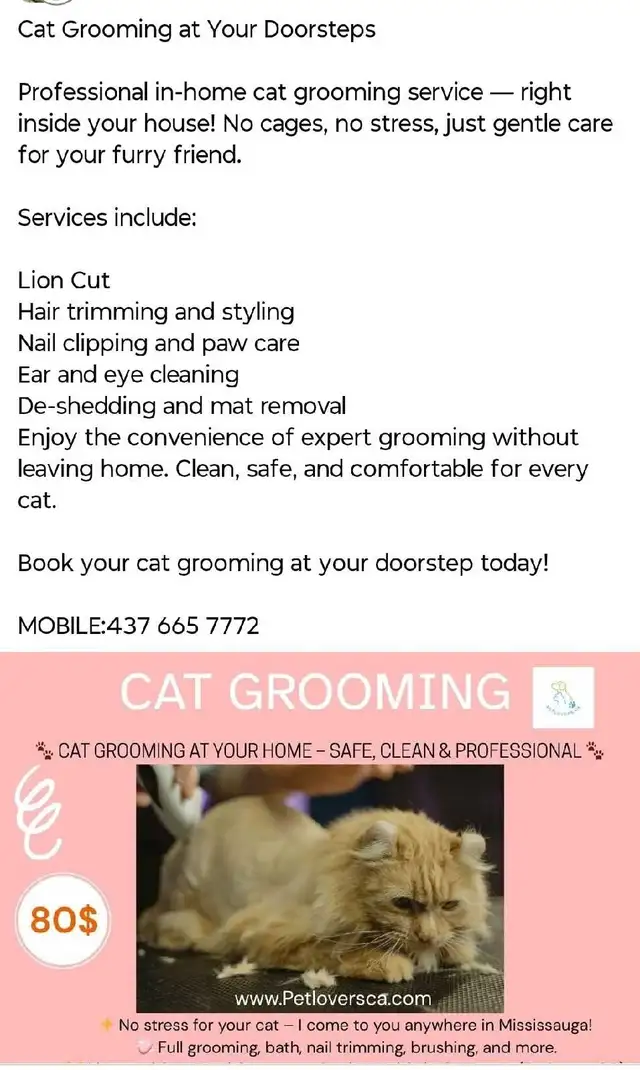 cat grooming
