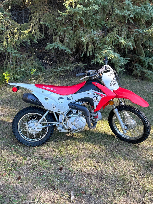 2015 Honda CRF 110 in Dirt Bikes & Motocross in Strathcona County - Image 2