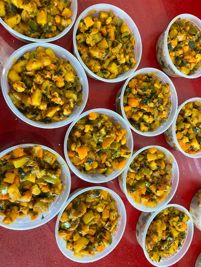 I am offering pure vegetarian, Indian Punjabi food, cooked by myself in my kitchen with the tadka of...