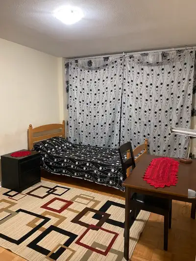 Furnished room for rent in apartment.