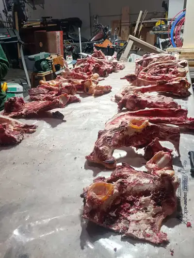 beef bones for dogs, View more