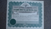 Equity Silver Fox Co., PEI - 100 shares certificate