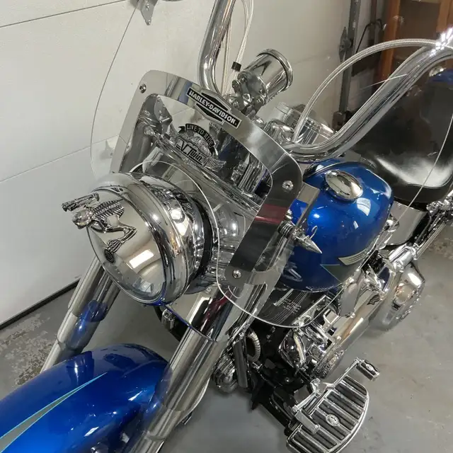 Harley fat boy in Street, Cruisers & Choppers in Truro - Image 7