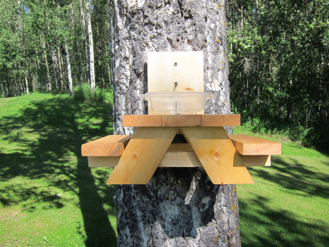 Squirrel Bird feeder, Condiments holder in Other in Strathcona County - Image 3