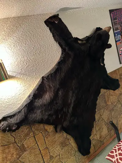 rug for sale or trade, View more