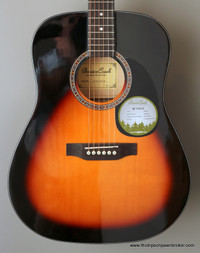 Beaver Creek BCTD101 Acoustic Guitar & Bag (NEW)