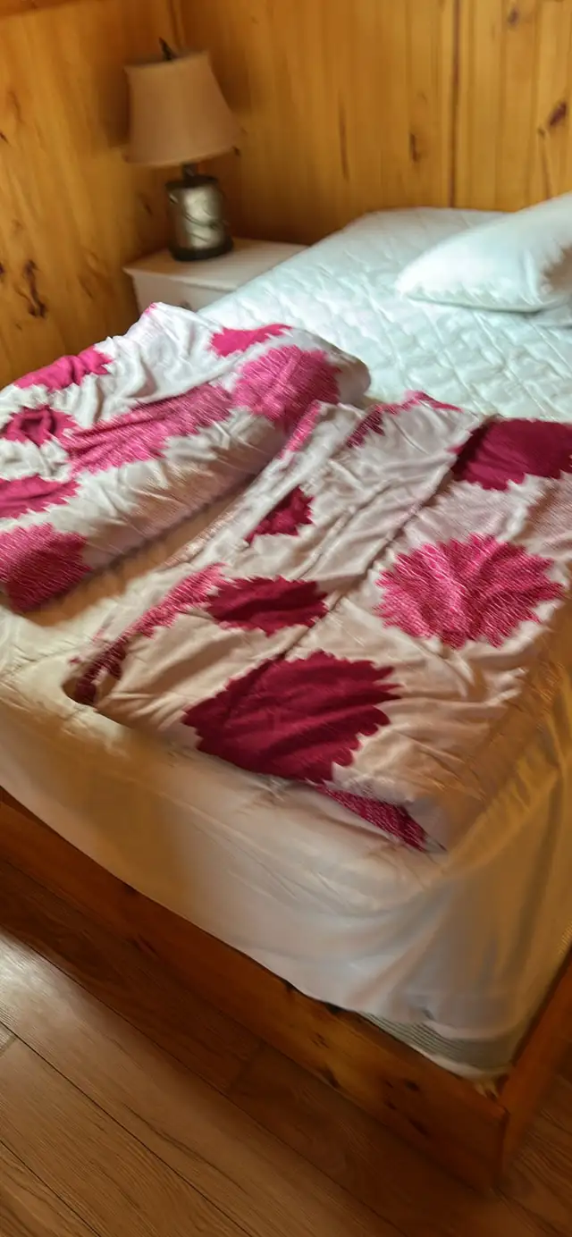 Comforters and blankets double and single $20 each in Bedding in Peterborough - Image 6