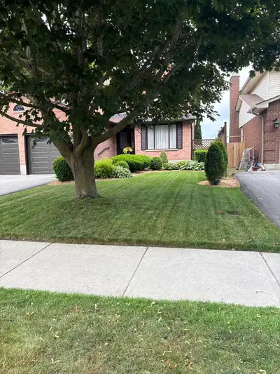 Lawn Maintenance , View more