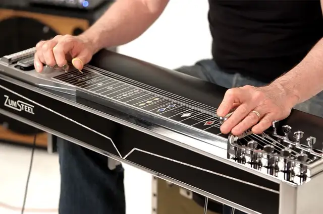 Looking for a Pedal Steel player 