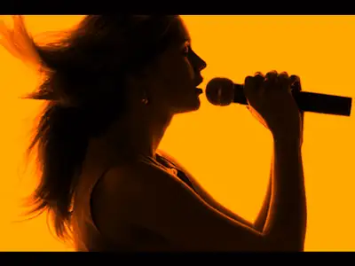 On cherche une Chanteuse 40 ans et + . On est un Band Rock de la Rive Sud de Montréal avec du bon mo...