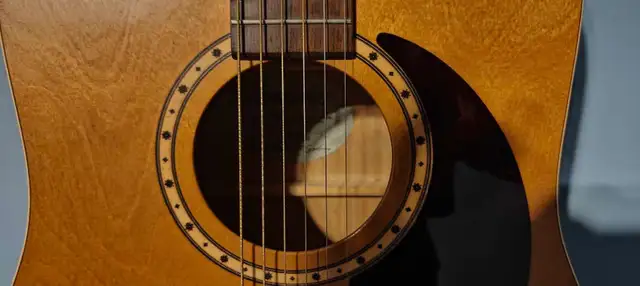 Guitarist 